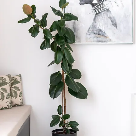 Вілла Luxury Olivetum With Heated Pool, Sea View & Sauna - Okrug Gornji Трогір