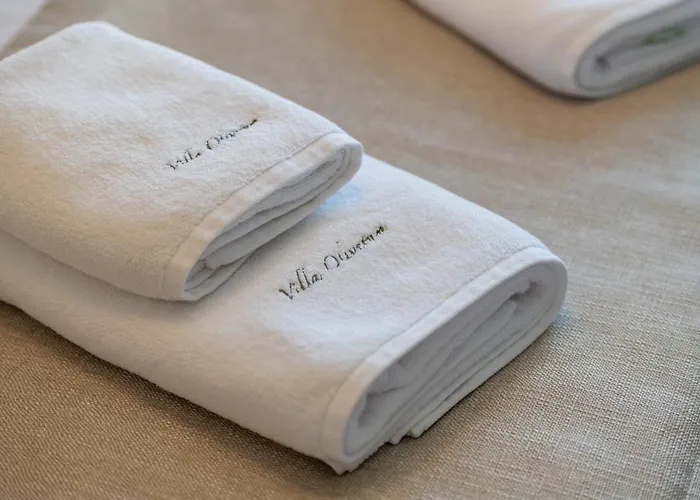 Luxury Olivetum With Heated Pool, Sea View & Sauna - Okrug Gornji Trogir